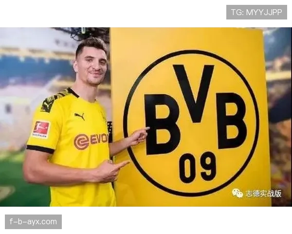 德甲转会赢家榜