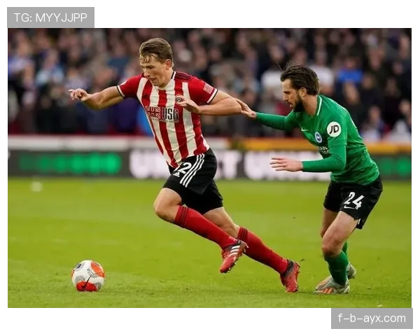 哈兰德冰箱里只放蛋白粉和冰块